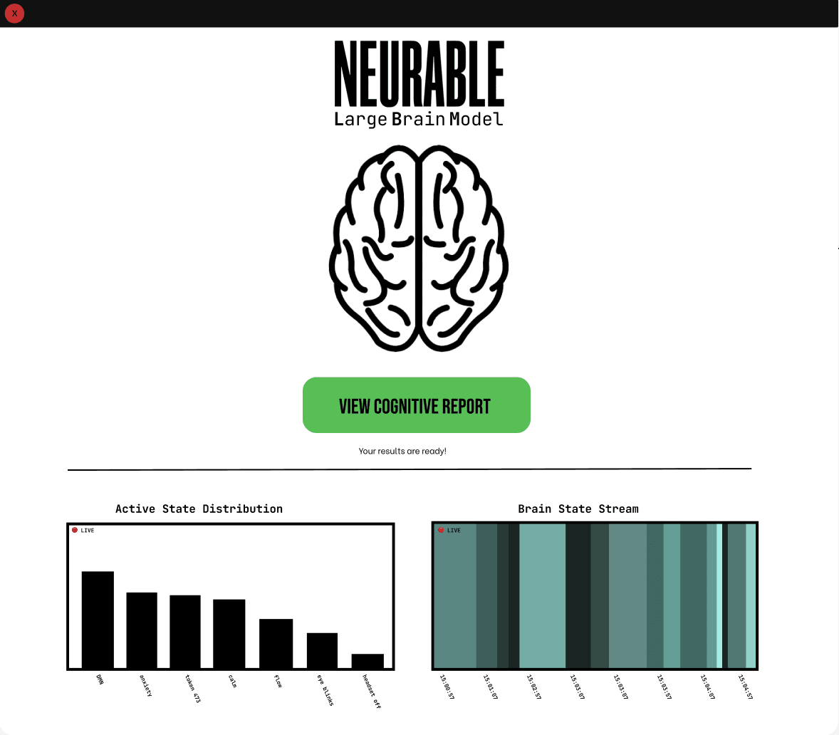 Brain Age and Large Brain Model Demos — slide 2